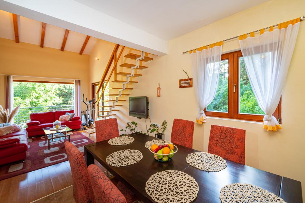 Apartments Maris Novigrad  Exterior photo