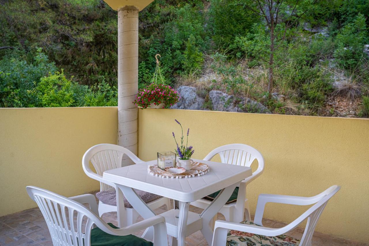Apartments Maris Novigrad  Exterior photo