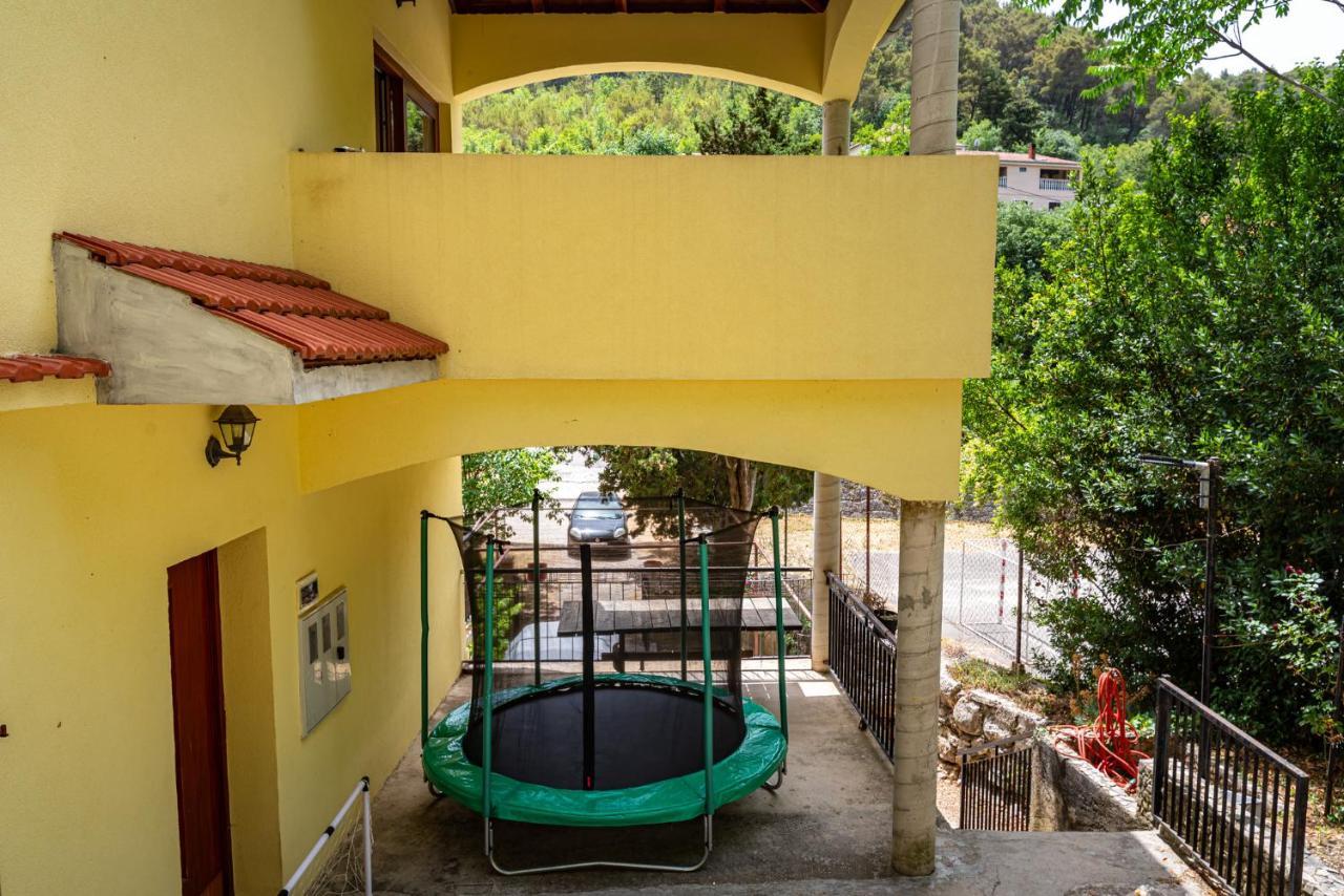 Apartments Maris Novigrad  Exterior photo